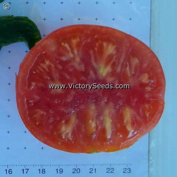 'Santiam' tomato slice.