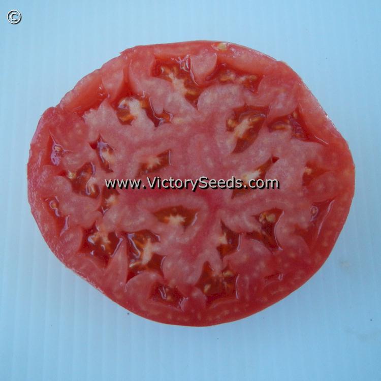 'Shackelford Giant Pink' tomato slice.