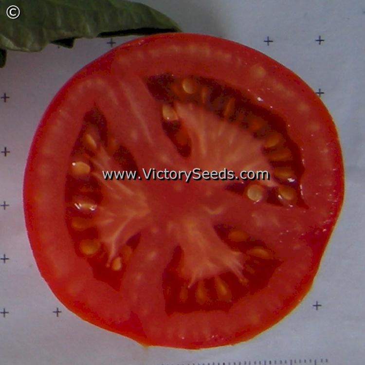 The insie of a 'Siberia' tomato.