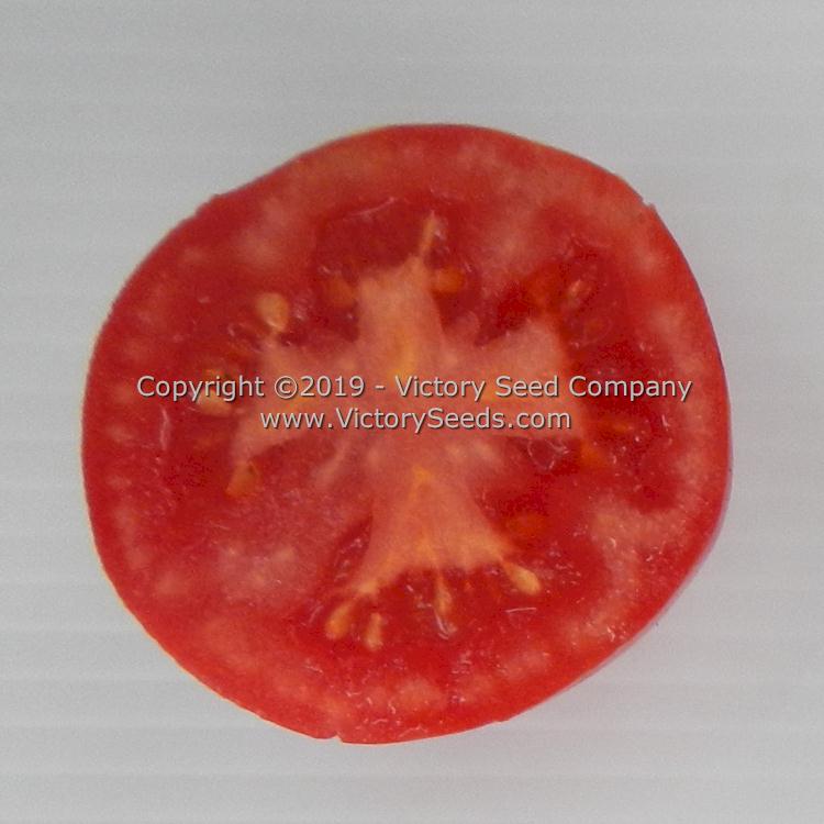 The inside of a 'Sioux' tomato.