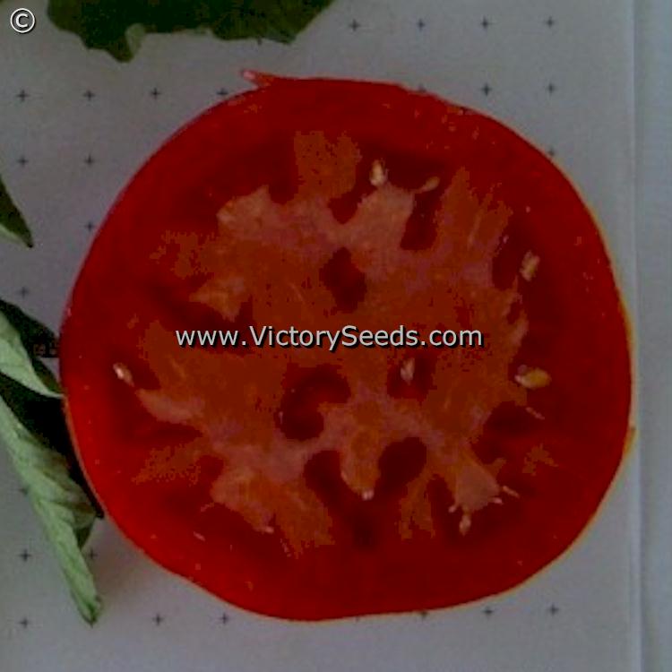 A slice of a 'Starfire' tomato.