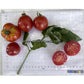 'Stephania Heritage' tomatoes.