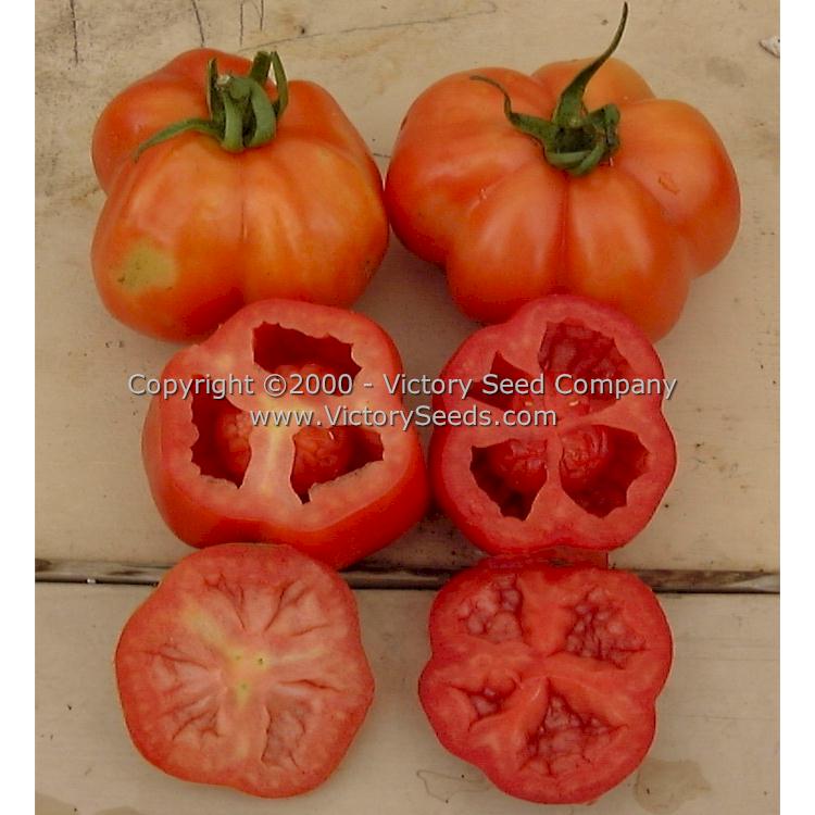 'Red Stuffer' tomatoes.