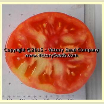 'Sweet Adelaide' tomato slice.
