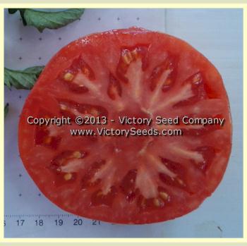 'Tennessee Britches' tomato slice.