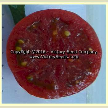 'Tennessee Suited' dwarf tomato slice.