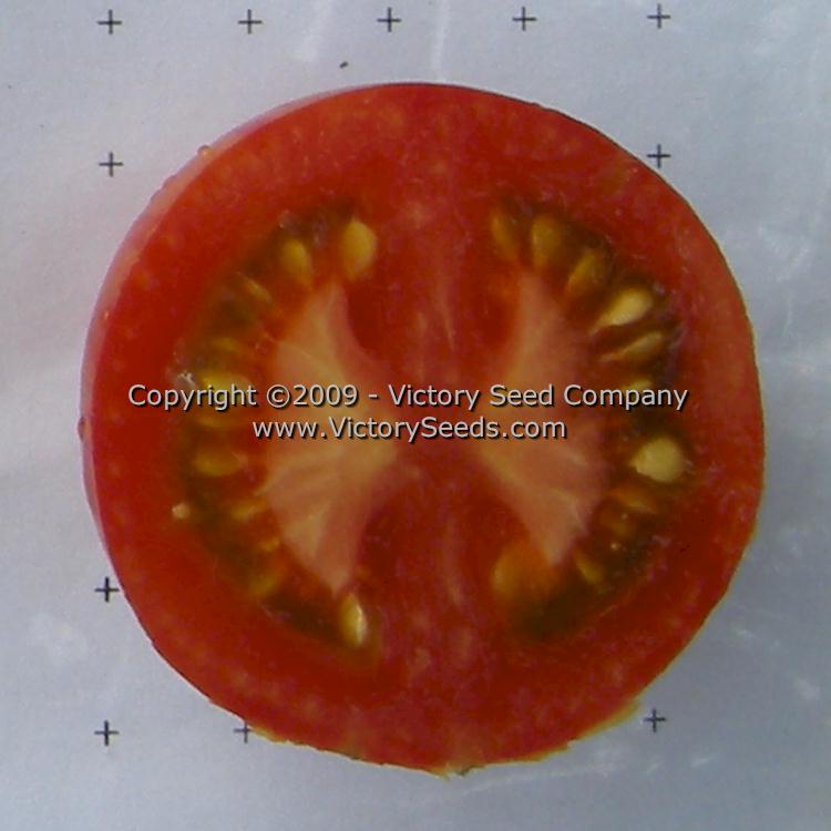 The inside of a 'Tiger Tom' tomato.