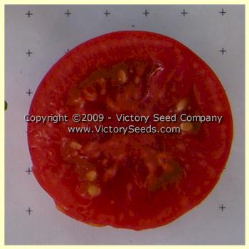 'Uralskiy Ranniy' tomato slice.