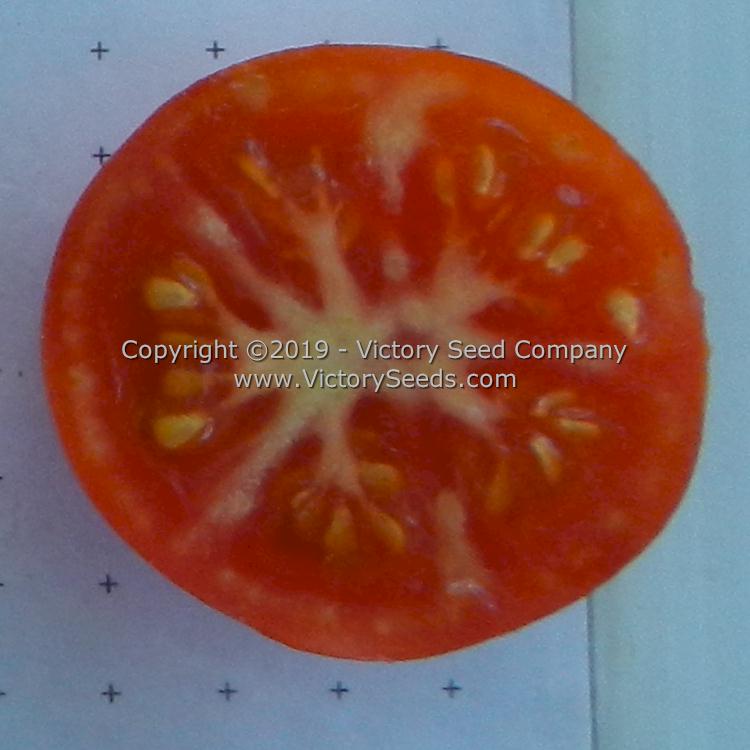 The inside of a 'Vulcan' tomato.