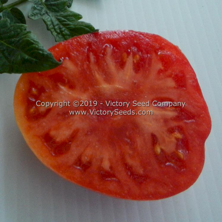A slice of 'Waverley' tomato.