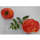 'Winsall' (aka Henderson's Winsall) tomatoes.