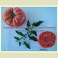 'Wood's Famous Brimmer' tomato.