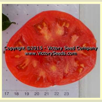 'Yukon Quest' tomato slice.