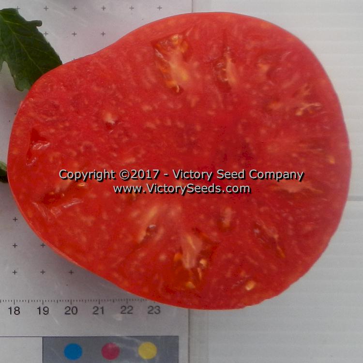 'Yusupov' tomato slice.