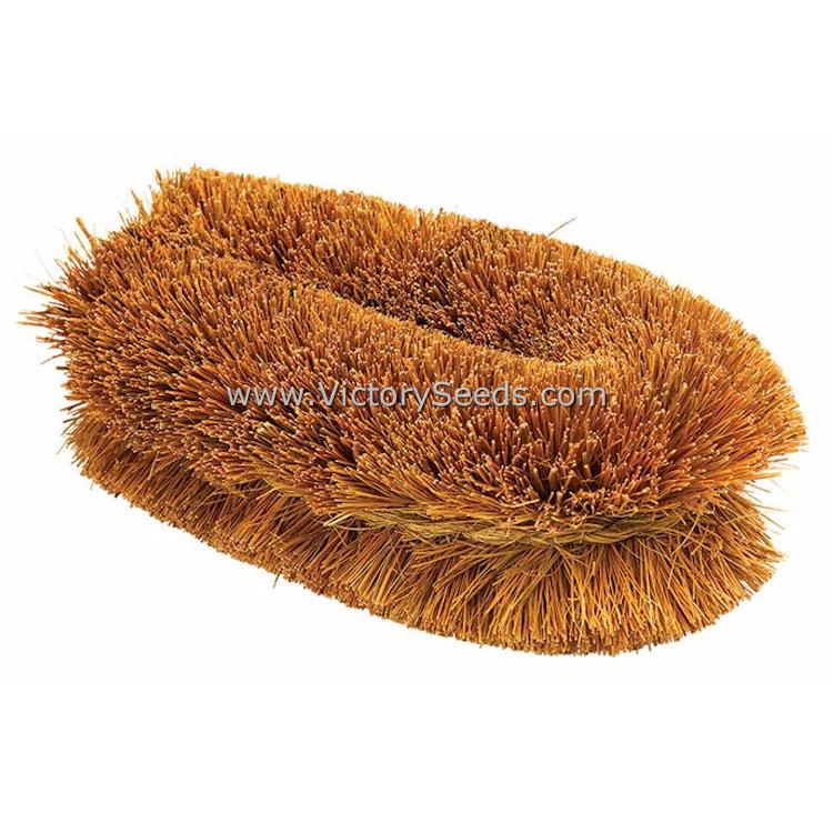 Tawashi Natural Scrubbing Brush From Japan For Cast Iron