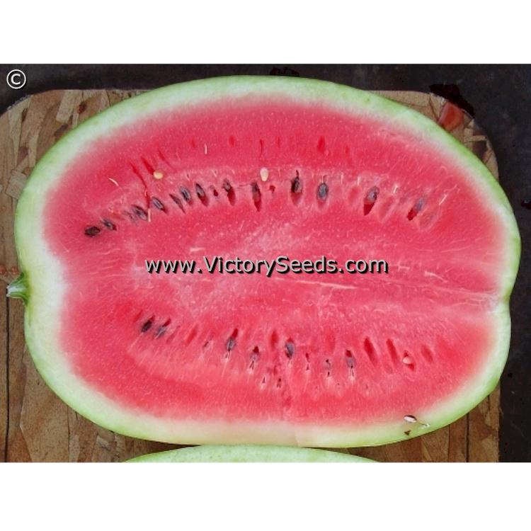 Ths inside of a 'Crimson Sweet' watermelon. Photo sent in by R. Saldaña.
