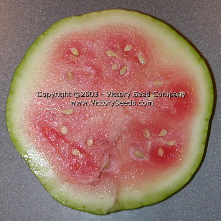 A slice of 'Dixie Queen' watermelon.