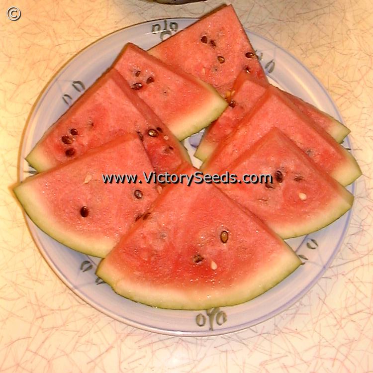 Early Crimson Treat Watermelon Slices