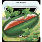 An old 20th century 'Tom Watson' seed packet lithograph.