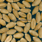 'Saluda' wheat. Image courtesy of the USDA-ARS.