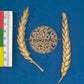 'Saluda' wheat spikes and kernels. Image courtesy of the USDA-ARS.