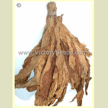 Paris Wrapper Tobacco