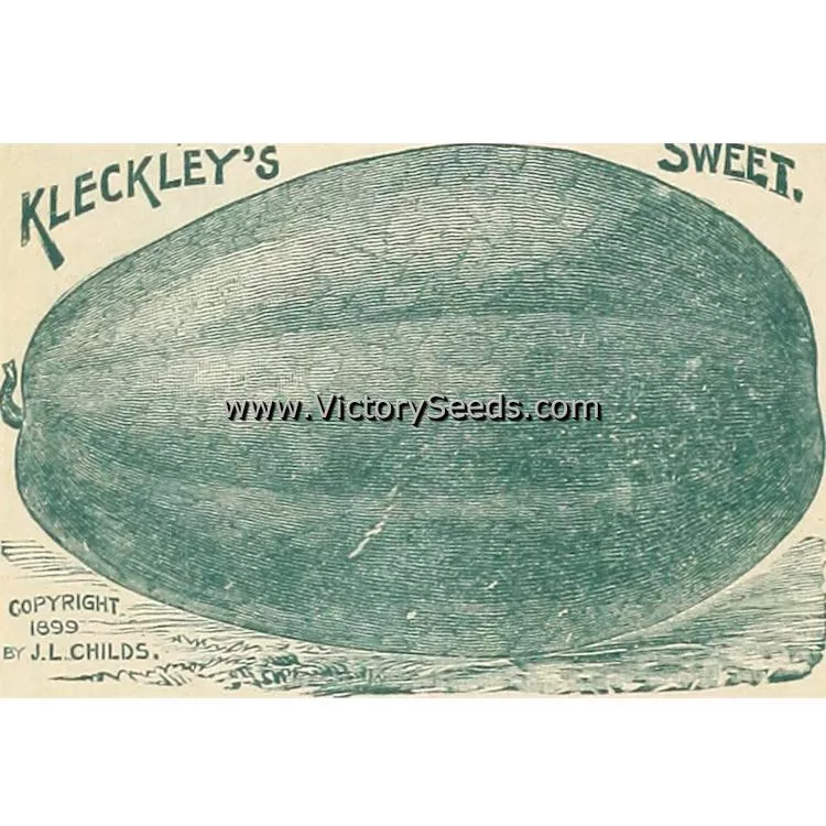 Kleckley's Sweet Watermelon
