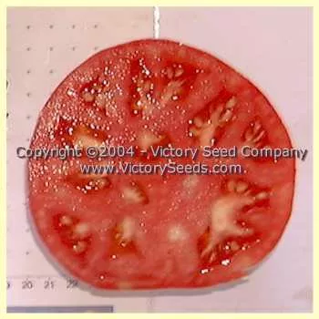 Special Turkish Tomato