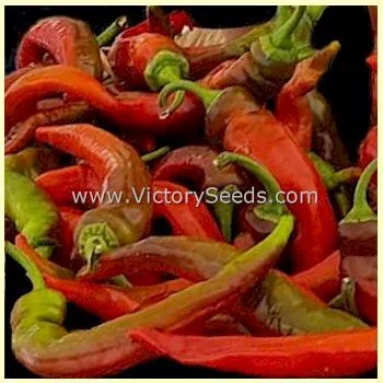 Jimmy Nardello Sweet Pepper