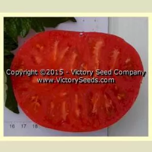 Rosella Crimson Tomato