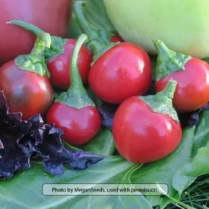 Large Red Cherry Sweet Pepper