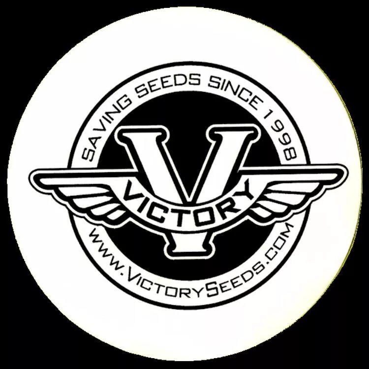 Sticker, 3.5" Round Black on White Vinyl