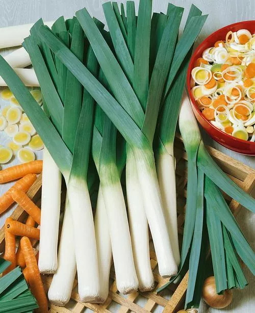 Broad London (Large American Flag) Leek
