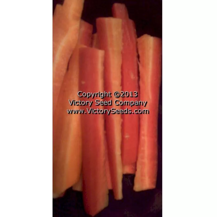 Atomic Red Carrot