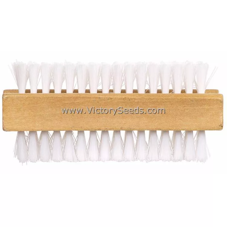 Fingernail Brush, Wooden Handled