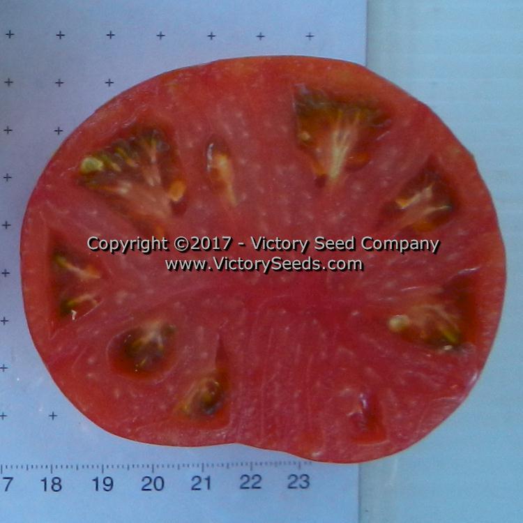 Dwarf Firebird Sweet Tomato