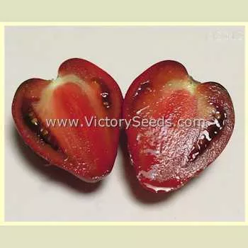 Dwarf Purple Heart Tomato