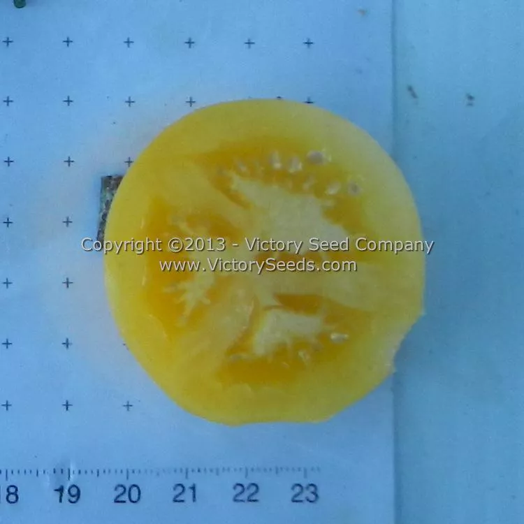 Garden Peach Tomato