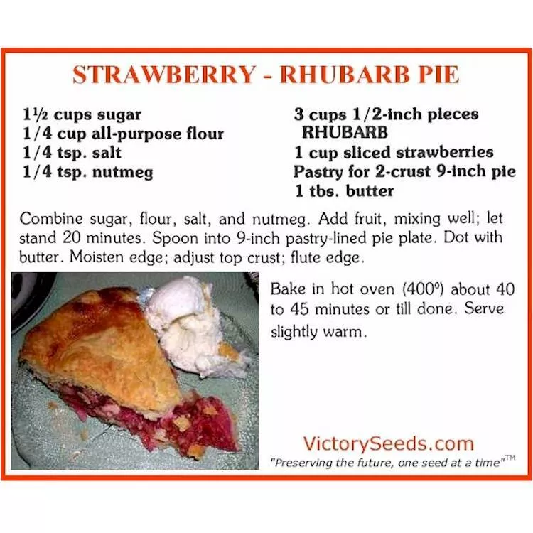 Victoria Rhubarb