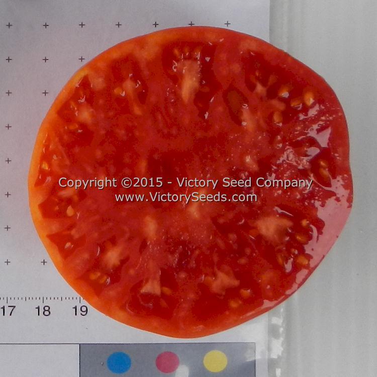 Garrison Tomato