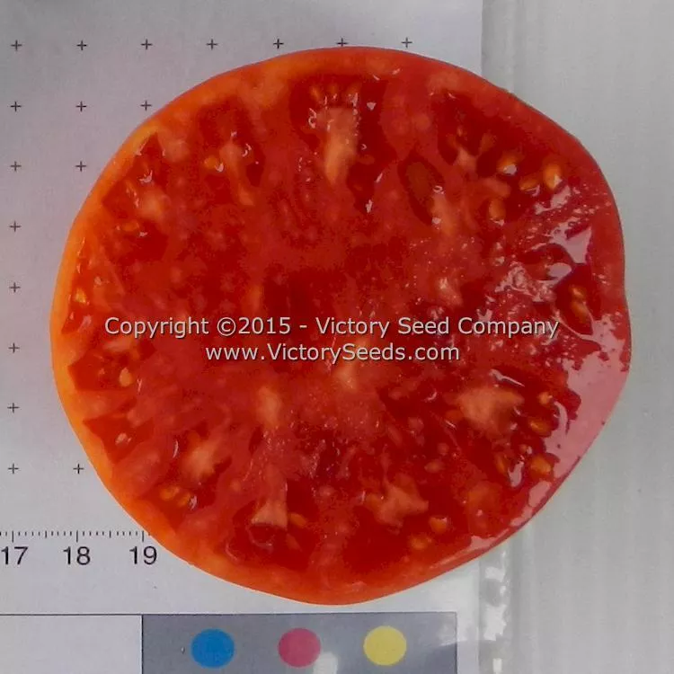 Garrison Tomato
