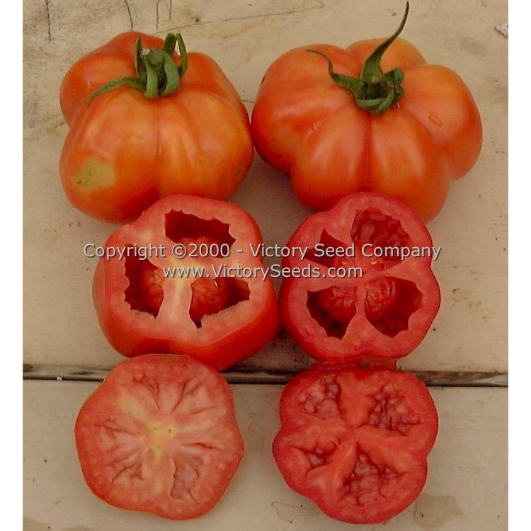 Red Stuffer Tomato