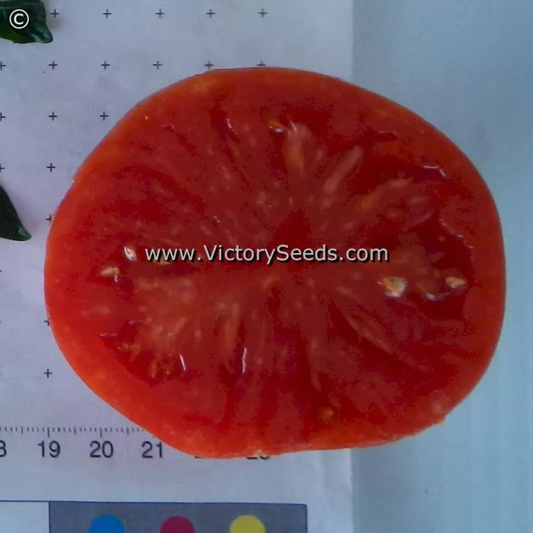 Fish Lake Oxheart Tomato