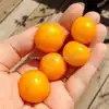 Dwarf Galen's Yellow Tomato