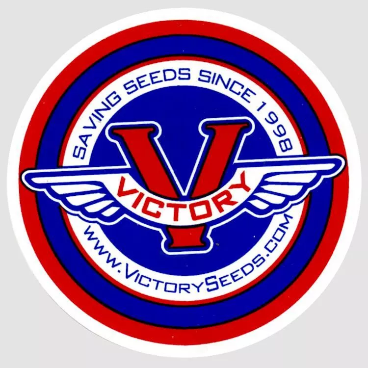 Sticker, 3.5" Round Red & Blue on White Vinyl