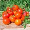 Atkinson Tomato