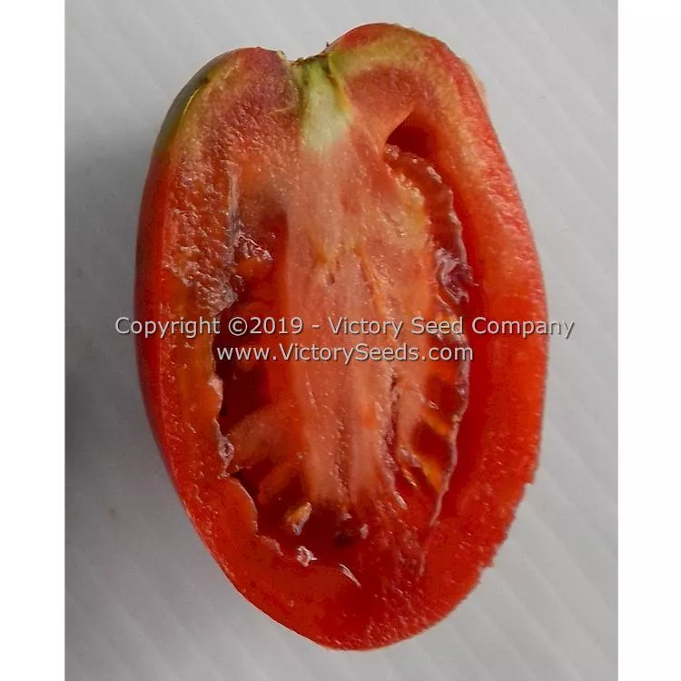 Dwarf Almandine Tomato