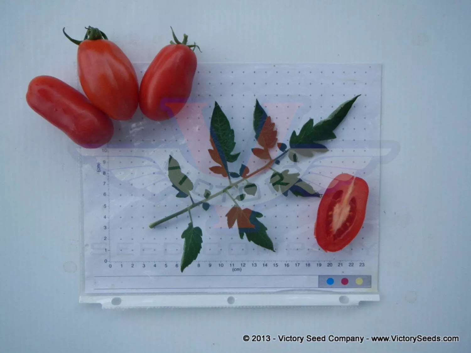 San Marzano Tomato