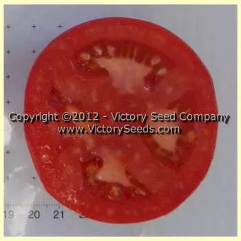 Pinkshipper Tomato