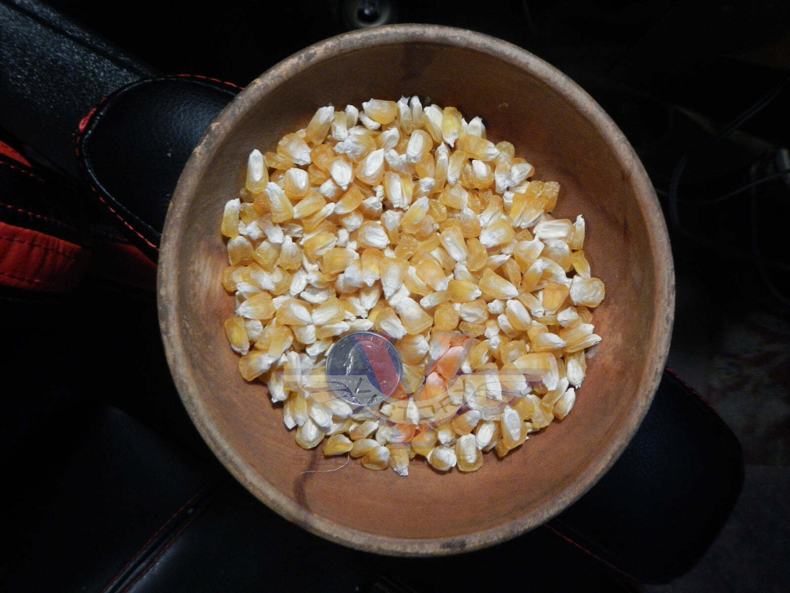 True Gold Sweet Corn